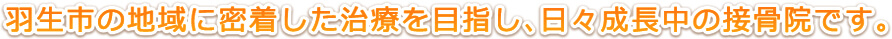 羽生市の地域に密着した治療を目指し、日々成長中の接骨院です。